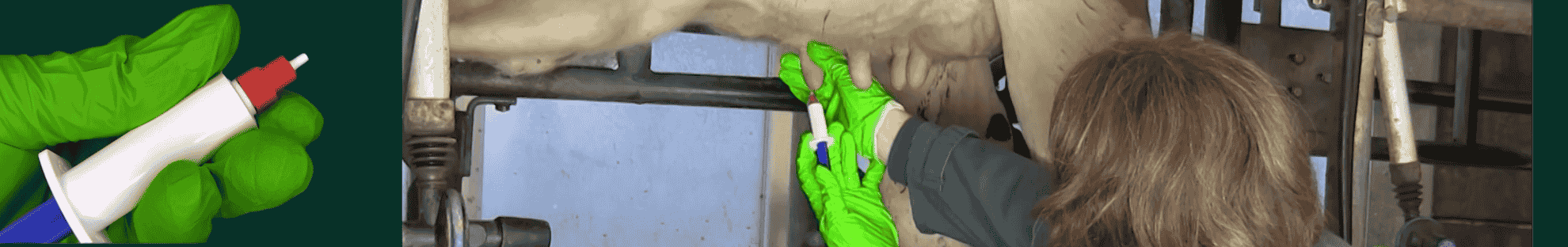 Professor Sofie Piepers